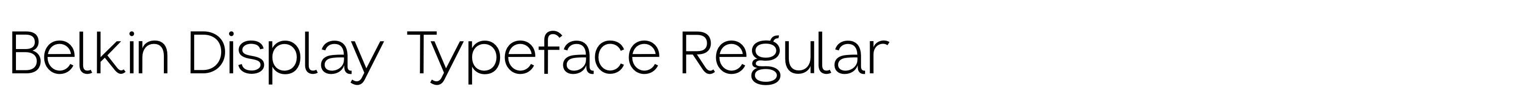 Belkin Display Typeface Regular